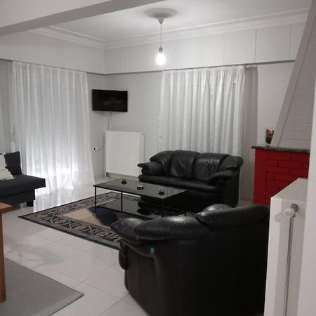 Spacious Apartment Anatoli Яніна Екстер'єр фото